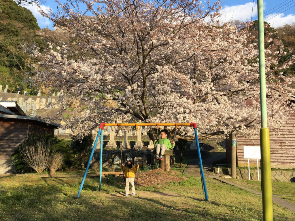 桜の下のブランコ